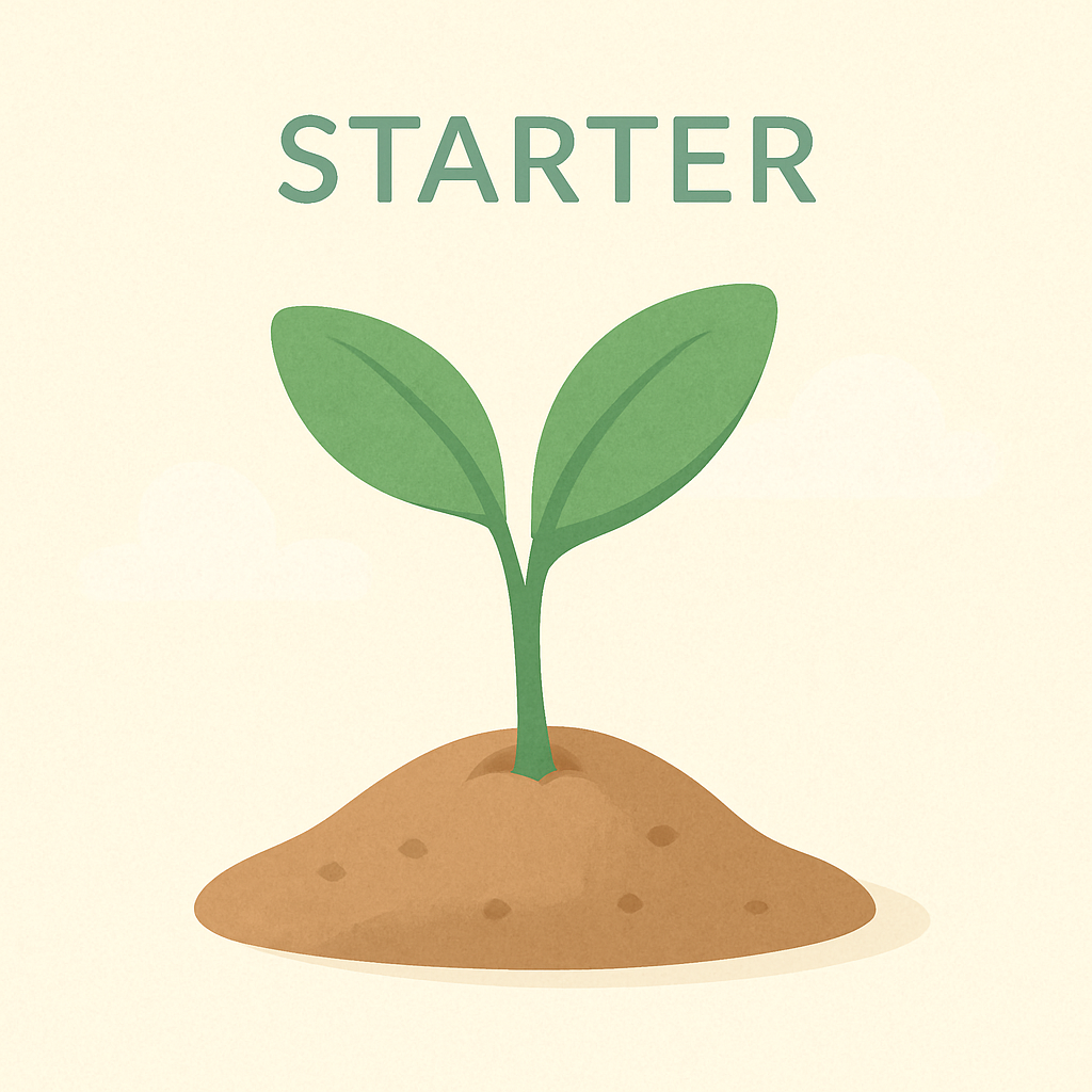 Starter